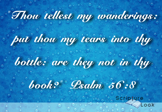 Psalm 56:8