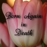Born Again in Death
