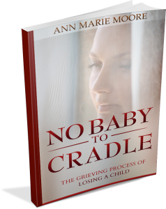 No Baby to Cradle book